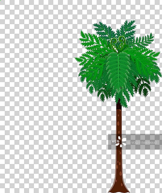 卡通丛林雨林树木史前植物图片素材