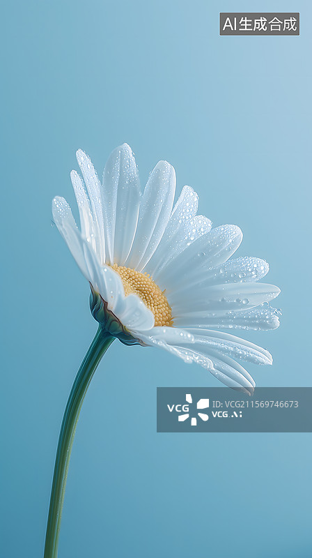 【AI数字艺术】蓝幕下晶莹雏菊的清新之姿图片素材