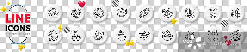 椰子、樱桃和苹果的线条图标，用于网页应用程序图片素材