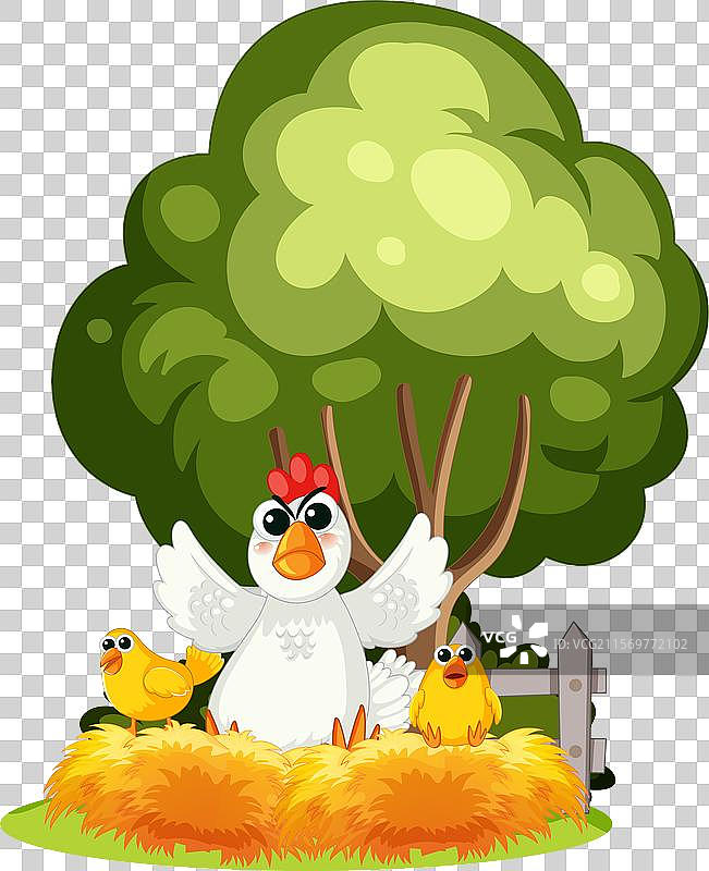 农场环境中的母鸡和小鸡图片素材