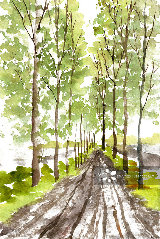 夏季林荫小道图片素材