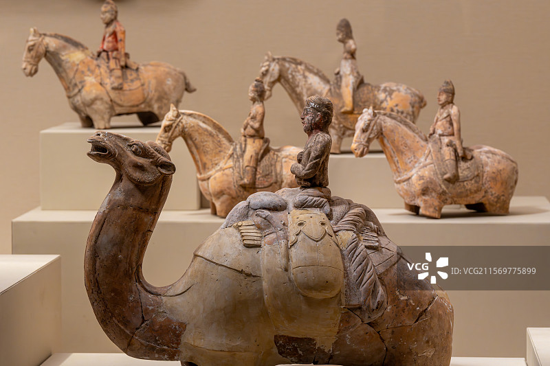 辽宁省博物馆一组骆驼俑展示图片素材