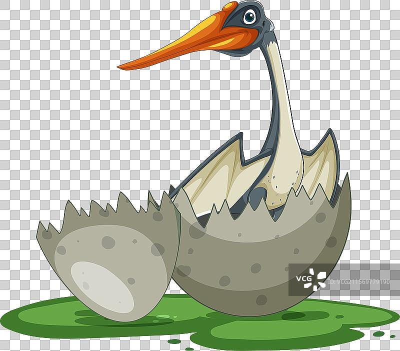 新生恐龙从蛋中孵化出来图片素材