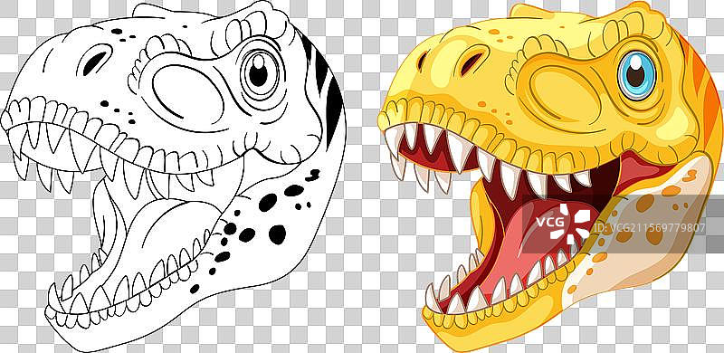 两个恐龙头，一个是彩色的，一个是黑白的图片素材