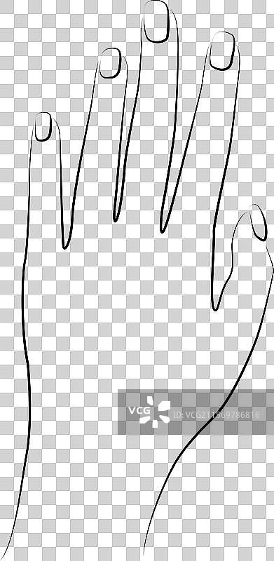 女性手掌的线条艺术风格图片素材