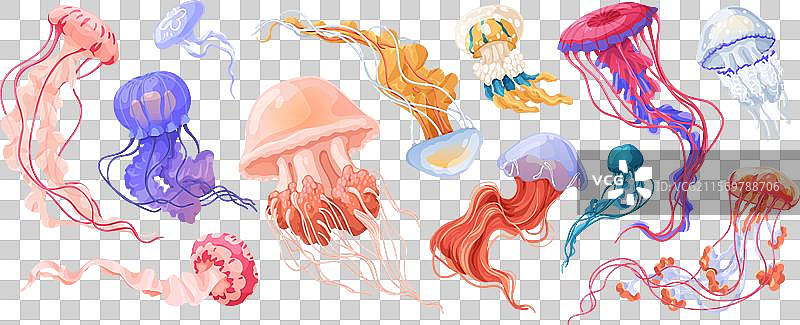 水下海洋水母套装图片素材