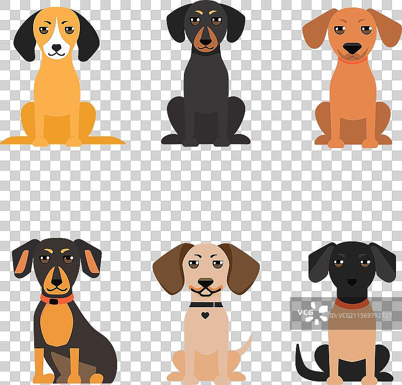 六只不同品种和颜色的卡通狗坐着图片素材