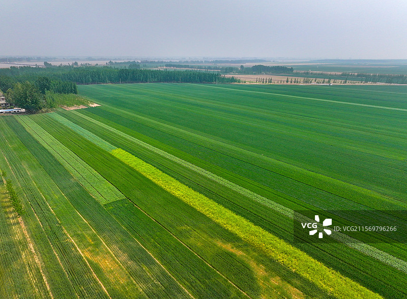 河南省开封市柳园口黄河游览区开封黄河渡口浮桥航拍图片素材
