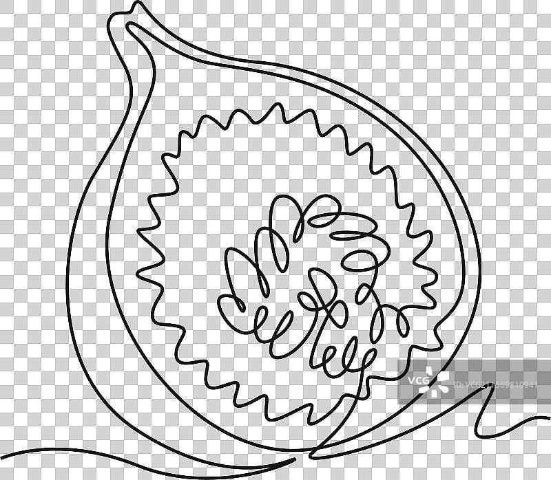 单线条绘制的半切健康食品图片素材