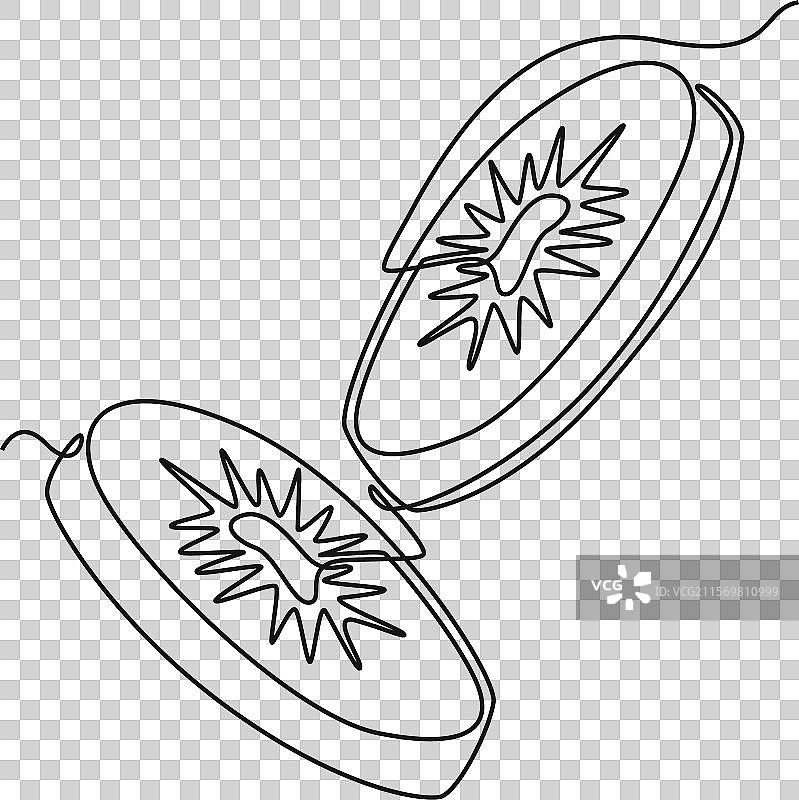 单线条绘制的半切健康食品图片素材