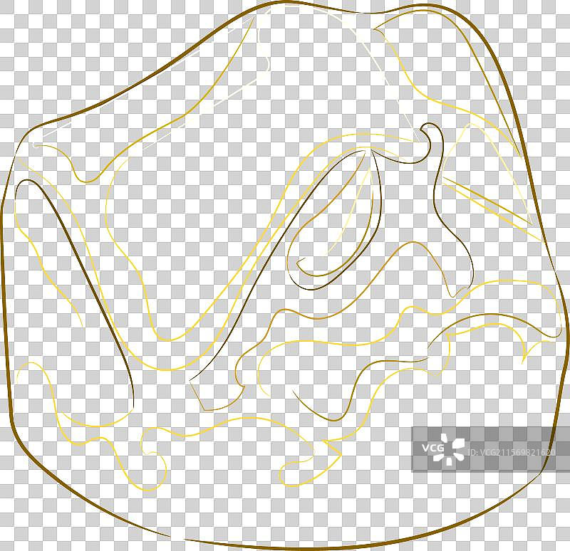 黑色背景上的自然金块彩色线条艺术图片素材