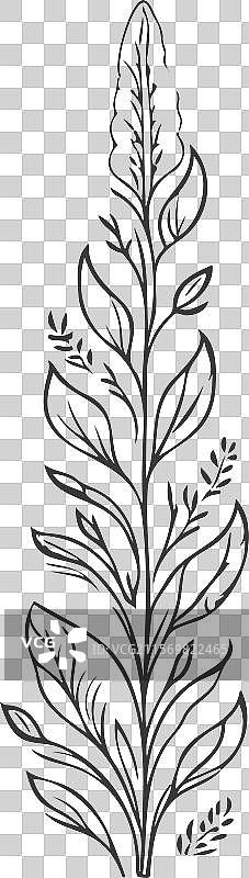 灰色郁金香花图片素材