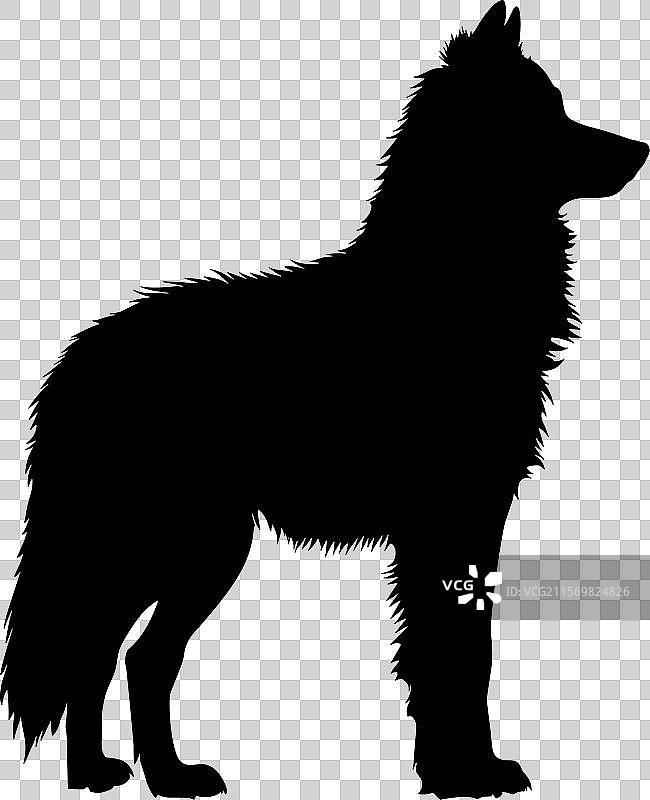 北极狐图标轮廓图片素材