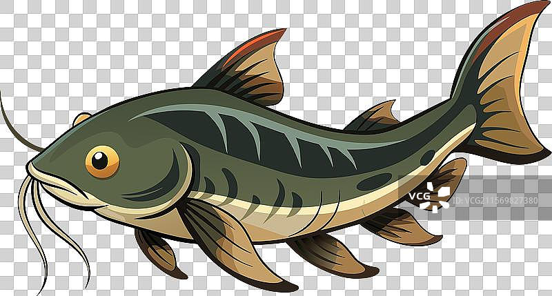 网络钓鱼曝光真实账户图片素材