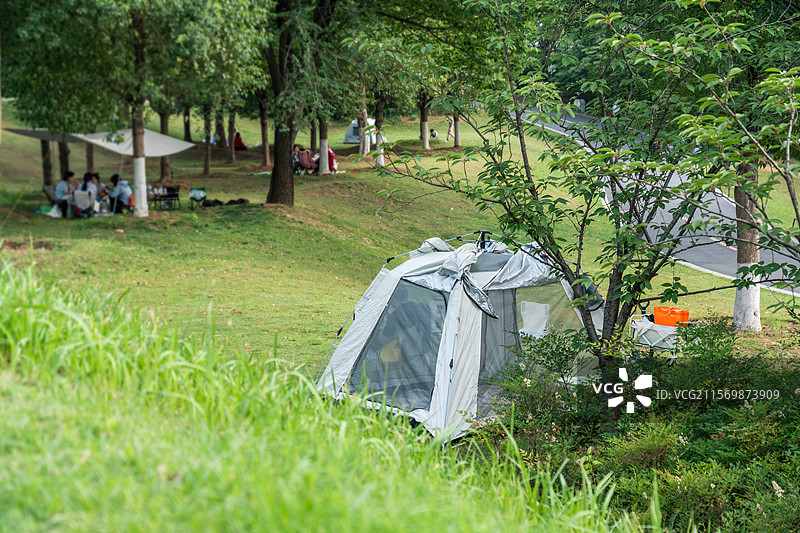 绿意盎然的露营时光图片素材