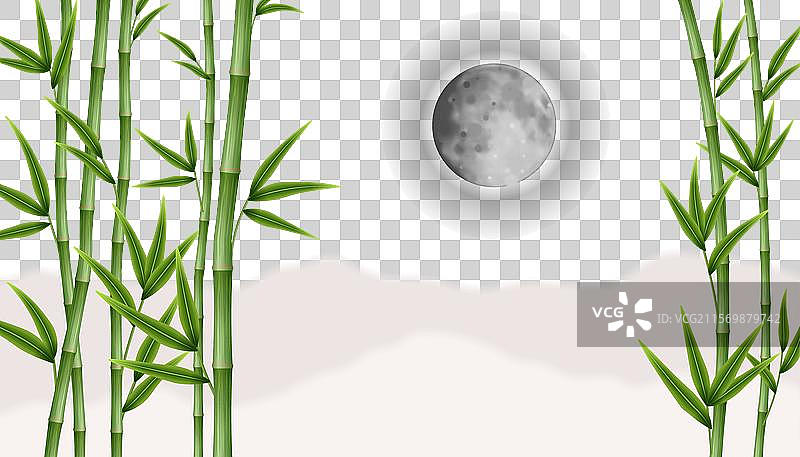 秋天的竹林风景图片素材