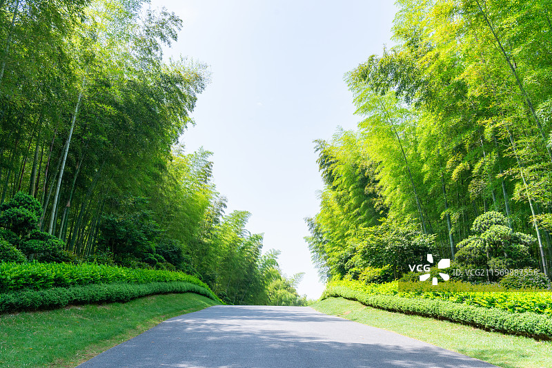 环境优美的竹林道路图片素材