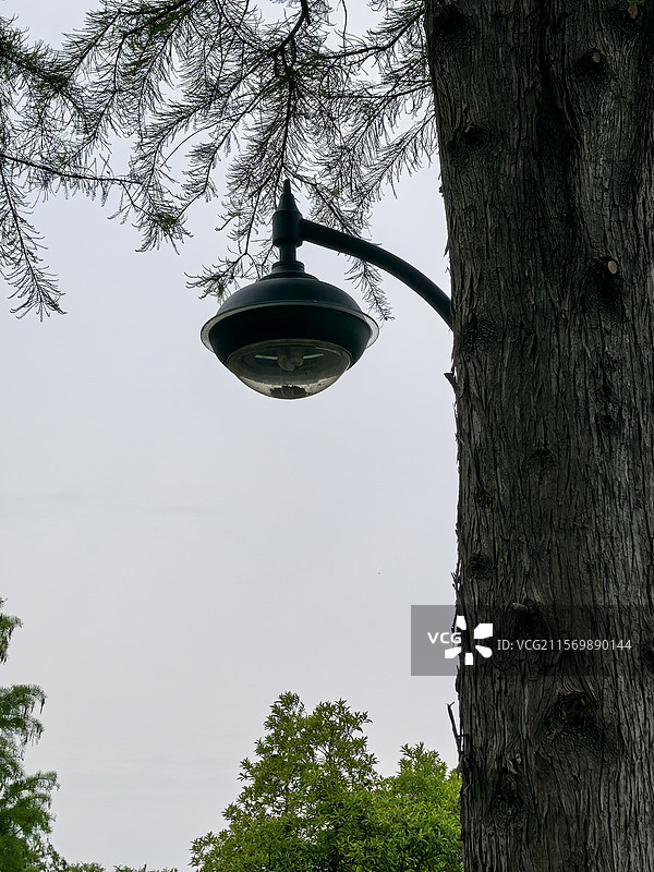 路灯的态度图片素材