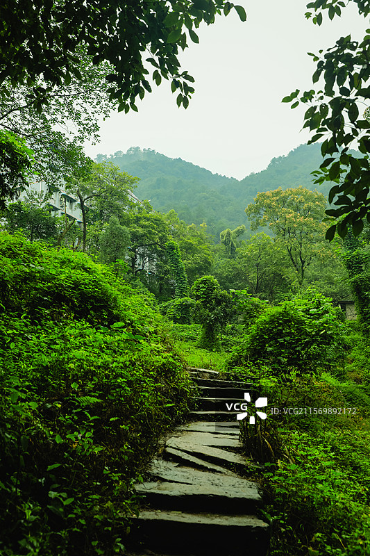 重庆，雨后的歌乐山，绿意盎然图片素材