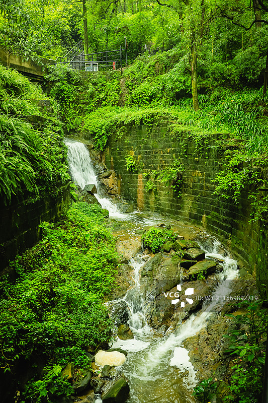 重庆，雨后的歌乐山，绿意盎然图片素材