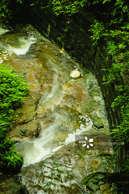 重庆，雨后的歌乐山，绿意盎然图片素材