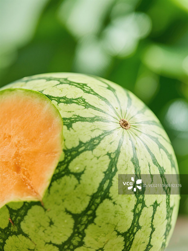 夏天的西瓜图片素材