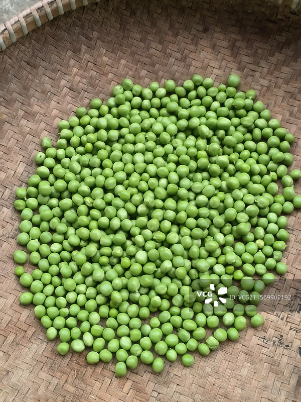 豌豆图片素材