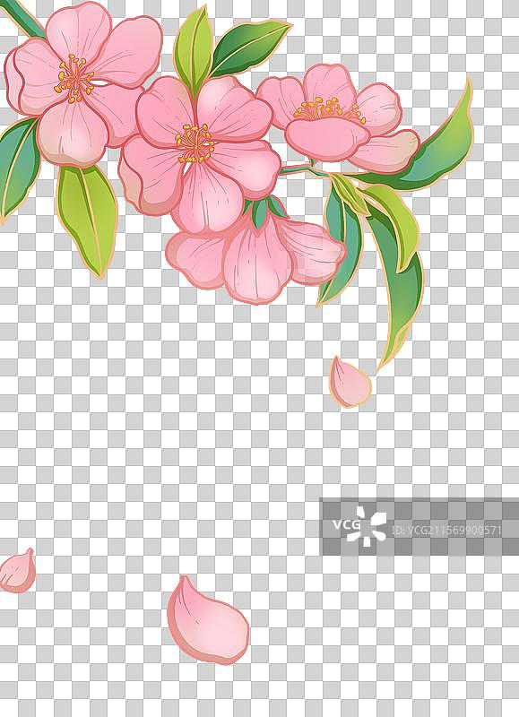 桃花免抠元素图片素材