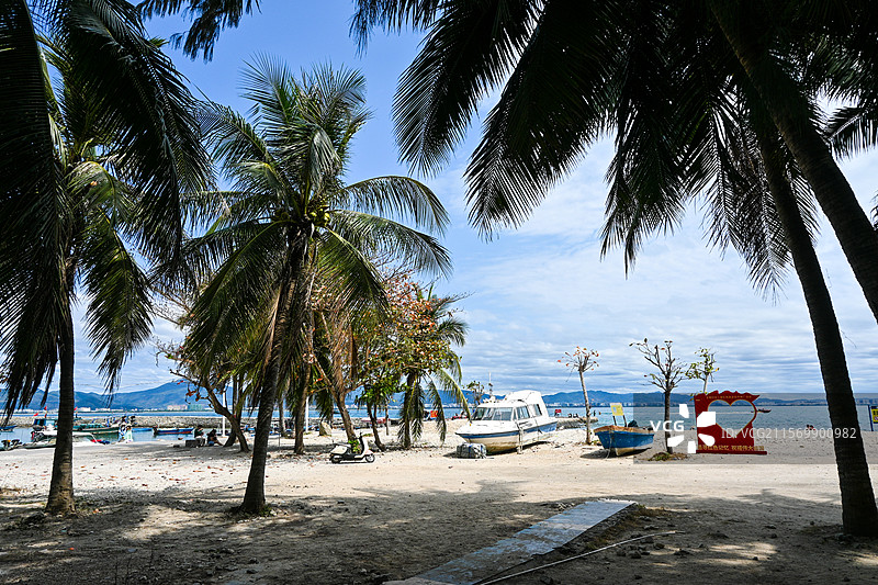海边沙滩的椰子树图片素材