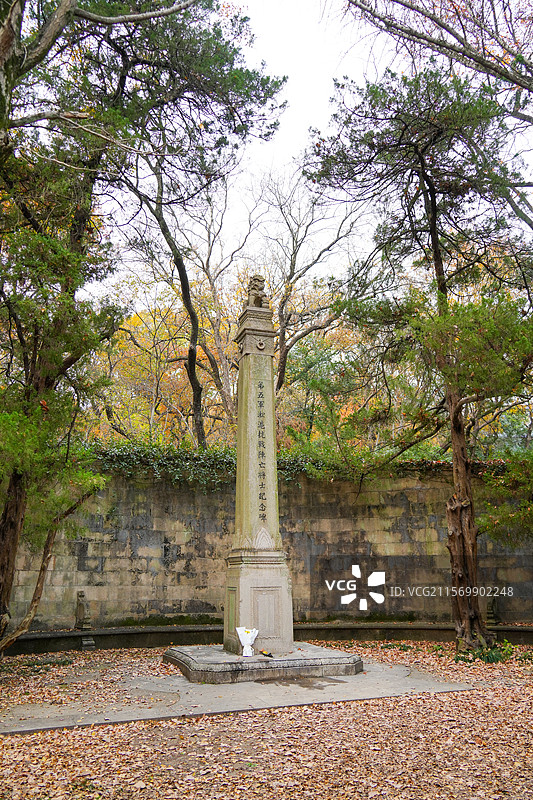 南京 钟山 钟山风景区 秋天 枫叶 黄叶 阴天 灵谷景区 第十九路军淞沪抗战阵亡将士纪念碑图片素材