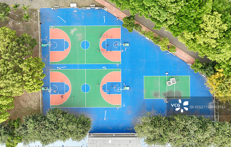 树冠环抱的运动色谱-航拍解构的篮球场三色标线系统与邻接排球区活力场域图片素材