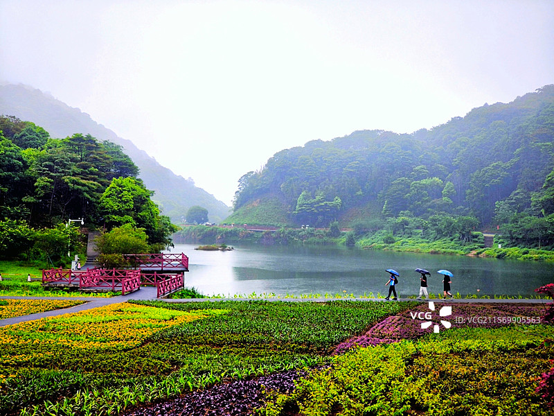 石门雨韵花海翠（从化石门国家森林公园景色二）图片素材