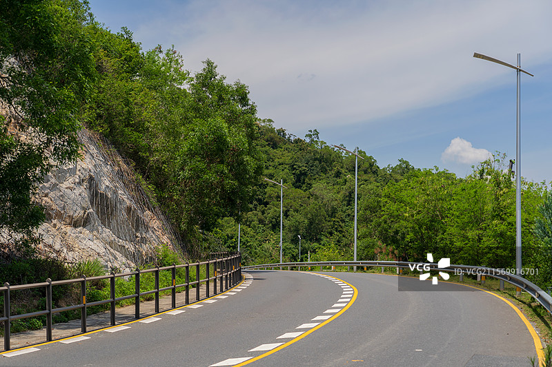夏天的公路绿道风光图片素材