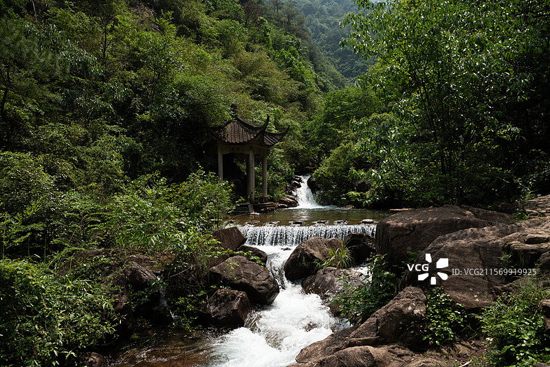 桐庐大奇山国家森林公园图片素材