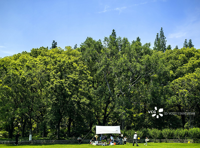 上海植物园露营的快乐时光图片素材