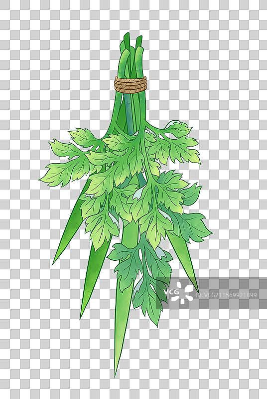 端午挂艾草菖蒲图片素材