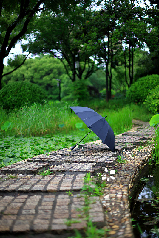 鹅卵石路上的黑色雨伞图片素材