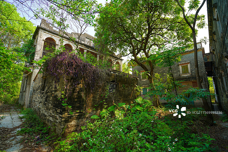 广东省江门市台山市，南屏村，碉楼，历史建筑之美！图片素材