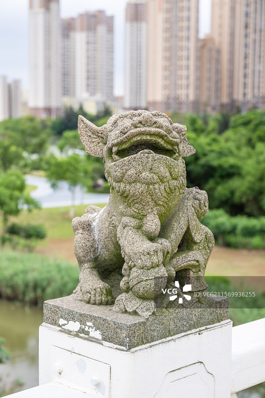 泉州·泉州大桥石狮子图片素材
