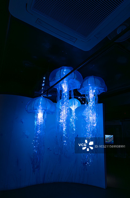 水母的优雅舞姿图片素材