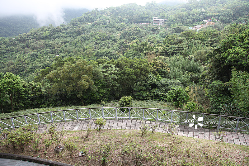 台湾台北阳明山风景山景森林植物树图片素材