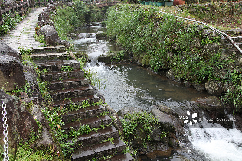 台湾台北阳明山风景植物树花溪水桥小路图片素材