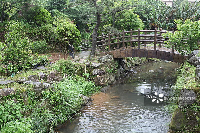 台湾台北阳明山风景植物树花溪水桥小路图片素材