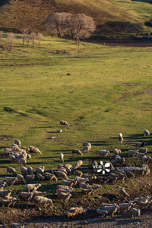 2025年初夏的呼和浩特大青山美景图片素材