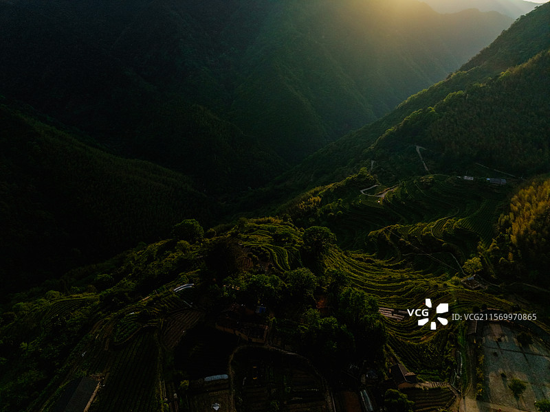 航拍浙江丽水市龙泉市长三角第一高峰黄茅尖图片素材