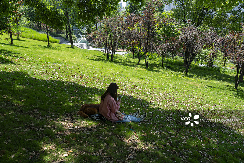 女孩坐在树林里的草地上看手机图片素材