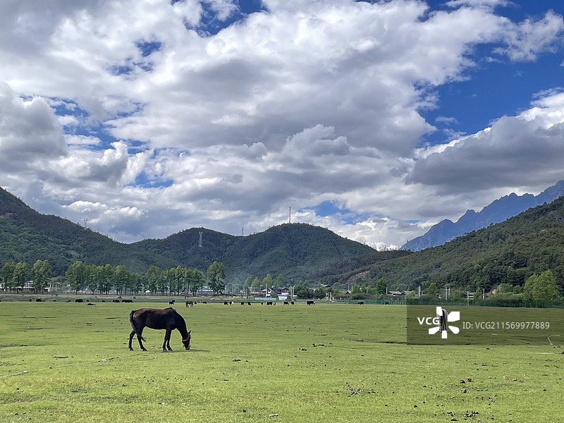 丽江文海村图片素材