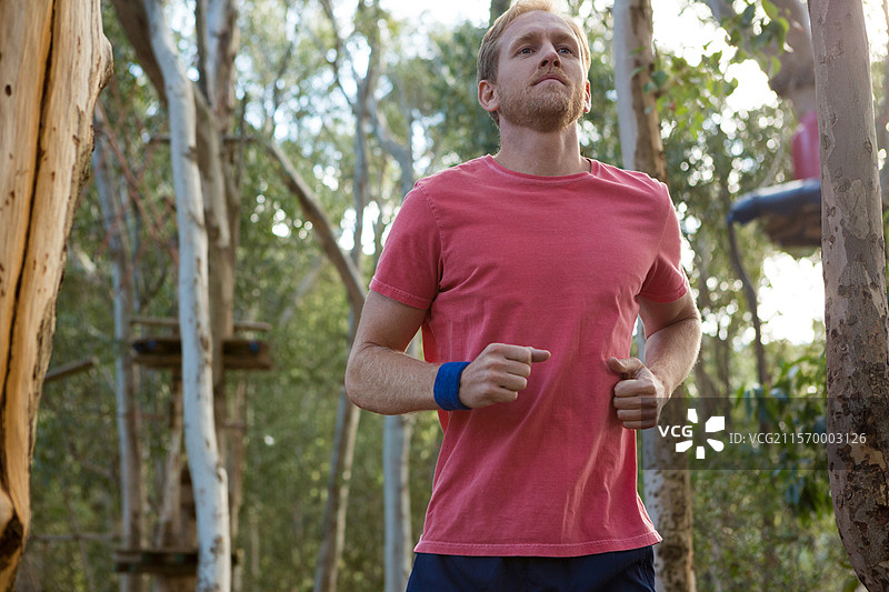 在桉树林障碍赛道上奔跑的男子，佩戴蓝色手环图片素材