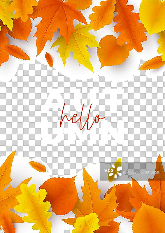 明亮秋季传单的设计图片素材