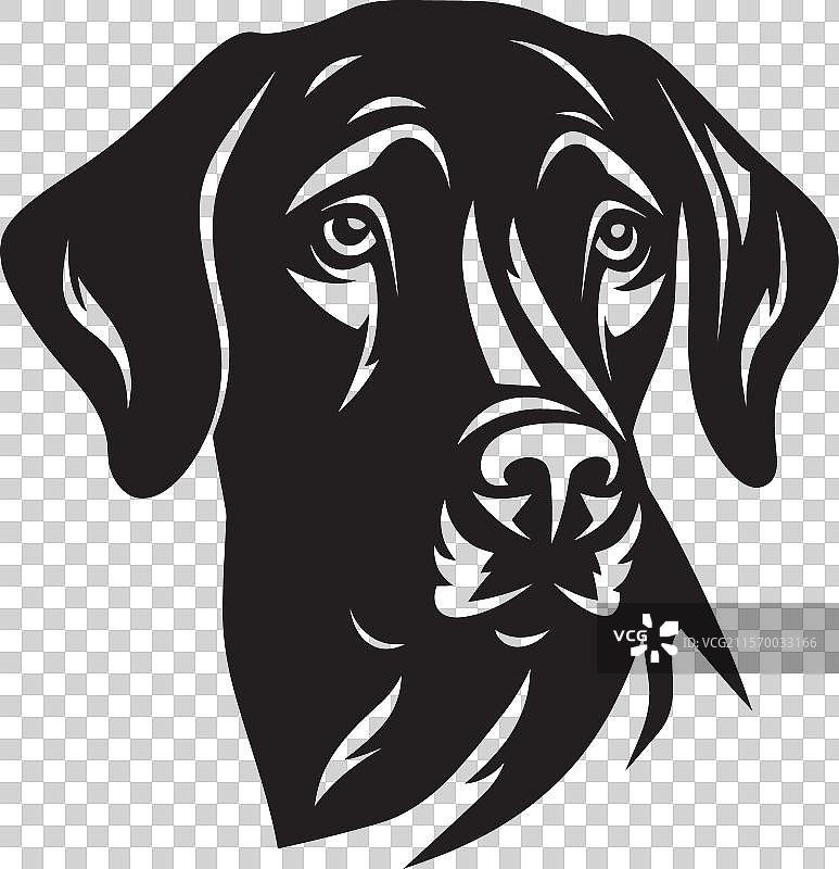 黑色狗狗的暗调肖像图片素材